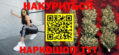 хмурый Бердск