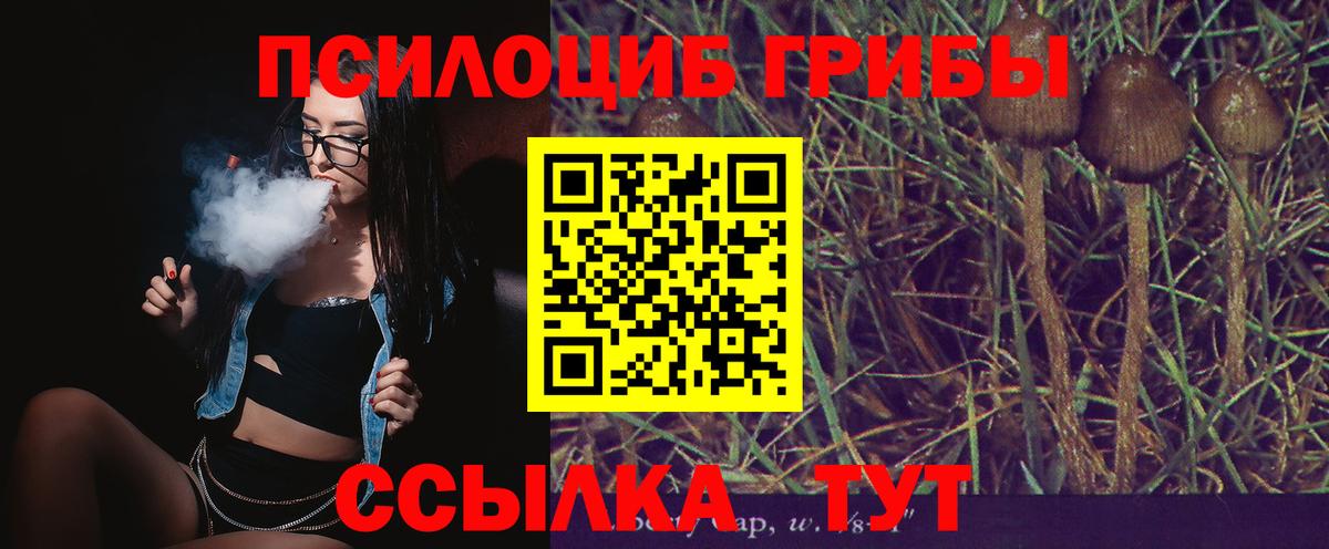 Галлюциногенные грибы прущие грибы  Вход с VPN  Старая Купавна 